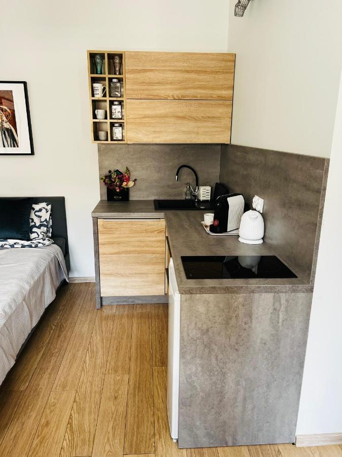 Plac Swietej Katarzyny 13 Apartment Torun